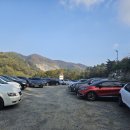 세종K