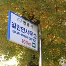 천지장 이미지