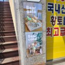 베어프룻 이미지