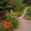 퀸스가든 | 강원도 평창 대관령 숙소 리조트 캠핑 추천 퀸스가든 대관령 퀸스가든, 자연 속 힐링