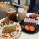 카페선 | 김포 장기동 케이크 맛집 분위기까지 완벽한 카페선 방문 후기