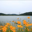 갈치저수지 이미지