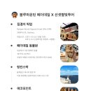 로시드 이미지