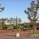 곡성-099 Daum카페
