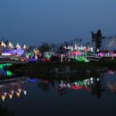 [태안 안면도]태안 튤립/빛 축제 (아름다운 꽃들을 감상해 보세요) 이미지