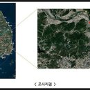 생장 이미지