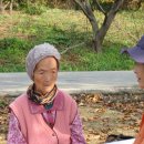 고성지 이미지