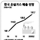2008 코스닥 유망테마 <2> 탄소배출권 유니슨,휴켐스,후성,카프로,포휴먼 이미지