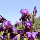 내천경로당 이미지