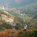 앞산케이블카 이미지