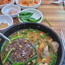 변가합천 | 임소장의 임장여행, 신호동 국밥 맛집 "변가합천돼지국밥" (내돈내산후기)