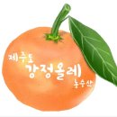 올레농수산 네이버블로그