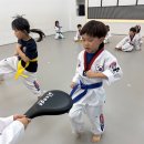대화키즈태권도 이미지