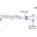 포마토 - 중랑구 면목로48길 8 | 포마토