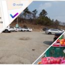노점(콩나물,두부,묵)