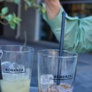 군자애견 이미지