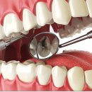 사파동155 이미지