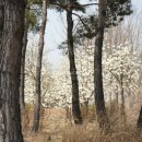 개화역1번출구 이미지