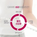 건강한시너지
