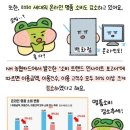 욜로 - 당진시 | 욜로