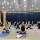 아트마요가효천점