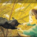 애니고글 이미지