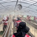 합천농자재 이미지