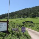 서광리-5 이미지