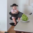 스토케 공식카페 오픈! 스토케 노미 뮤테이블 사용후기