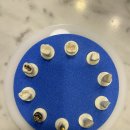 드림라인치과교정과치과의원 | 하단교정치과 삐뚤어진 치아를 위한 선택