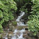 지리산 노고단 가는길 이미지