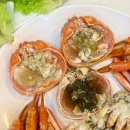 속초회타운 | 속초장사항횟집ㅣ스끼다시가 메인인 줄! 갓성비 금강산활어횟집 방문후기