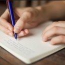 보육교사론 이미지