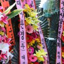 구포시장 이미지