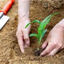 해룡농장 이미지