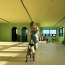 멍린이 대공원 이미지