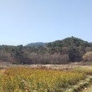 상순이네 하우스 이미지