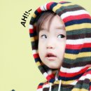 리틀트리 이미지