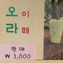 육농이나르샤 이미지