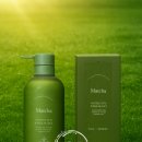 풍성한 머릿결을 위한 두피케어 이미지