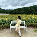 해바라기카페 이미지