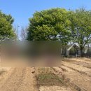 종성농장 | 두 달간의 감자 숭배(재배) 후기