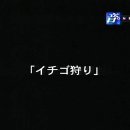 시아농장 이미지