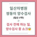 임신 17주_일산차병원 쌍둥이 양수검사 후기②(다운증후군 고위험군, 검사 전 식사, 양수 채취, 양수 색깔)