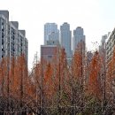 미도아파트 이미지