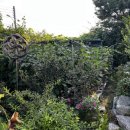 도혜원민박 이미지