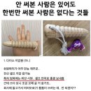 다이소지압봉 이미지