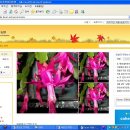 속리농원 이미지