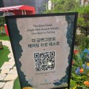 더(THE)포인트 스토어 | 더 글렌그란트 The Glen Grant 팝업 스토어(후기)