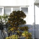 제주아트랜드 | 제주도가볼만한곳 제주 아트랜드 방문후기